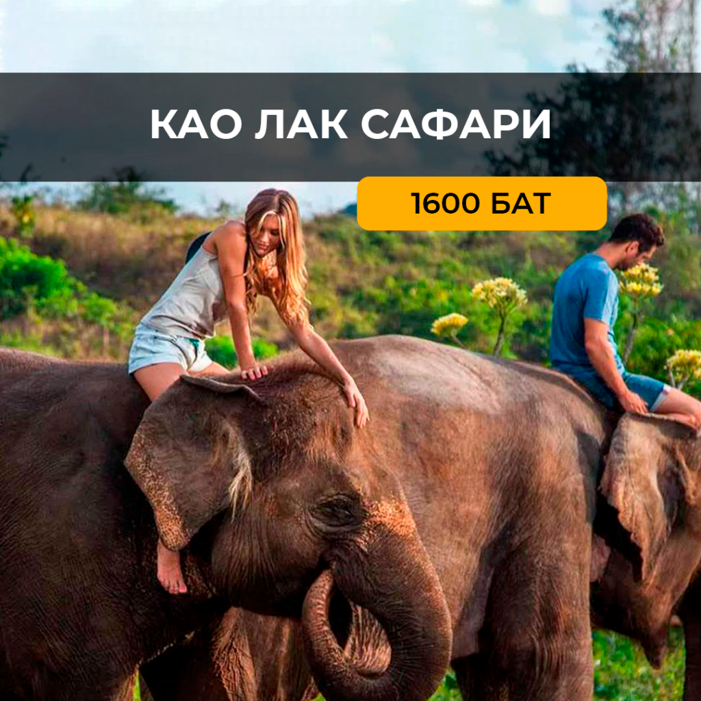 Каолак Сафари