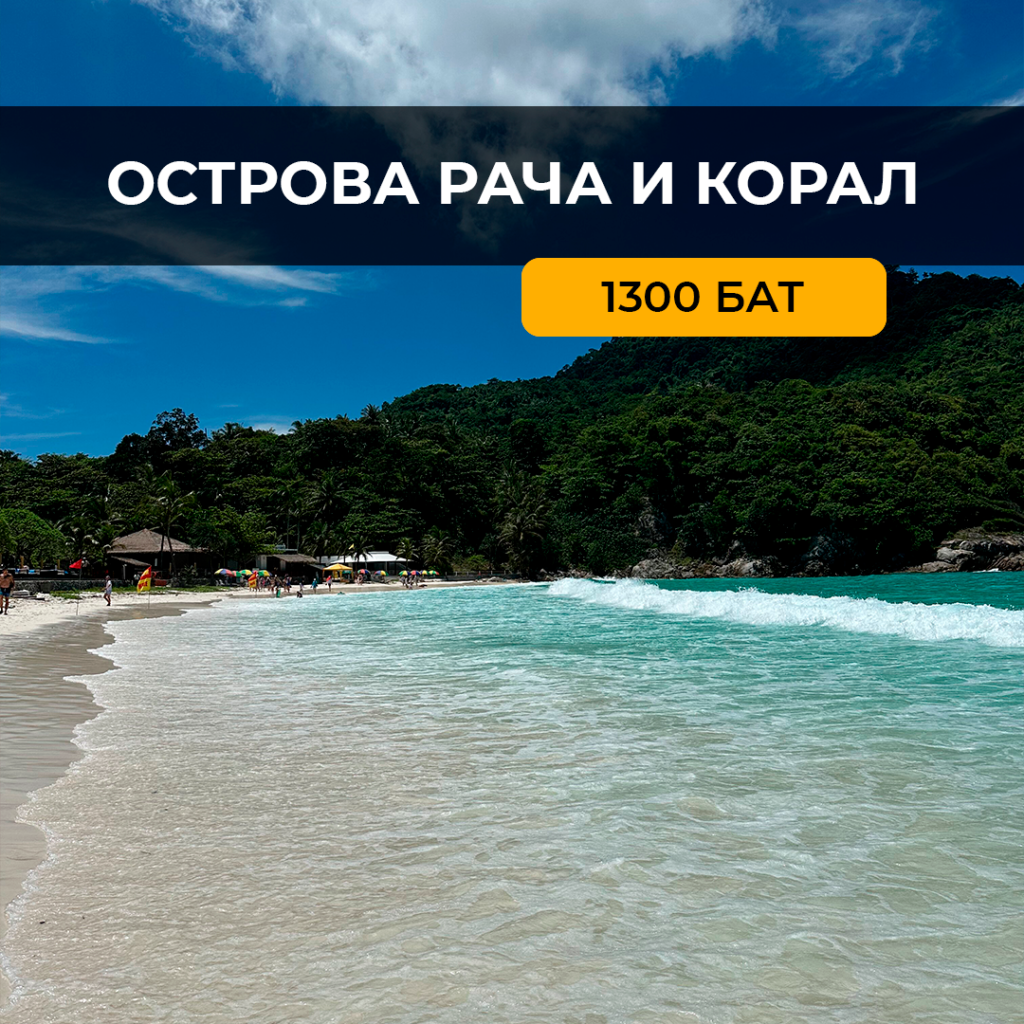 Рача + Корал