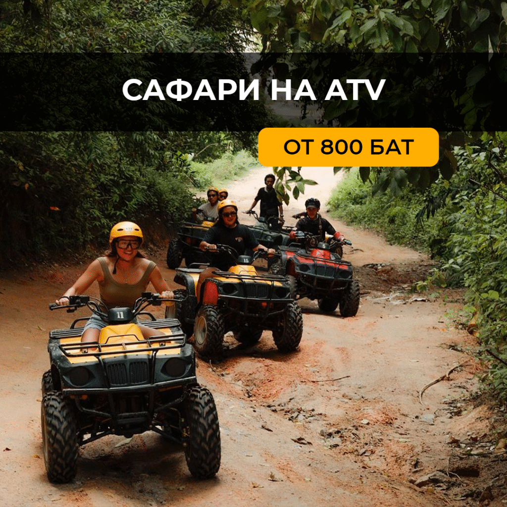 Сафари на квадроциклах