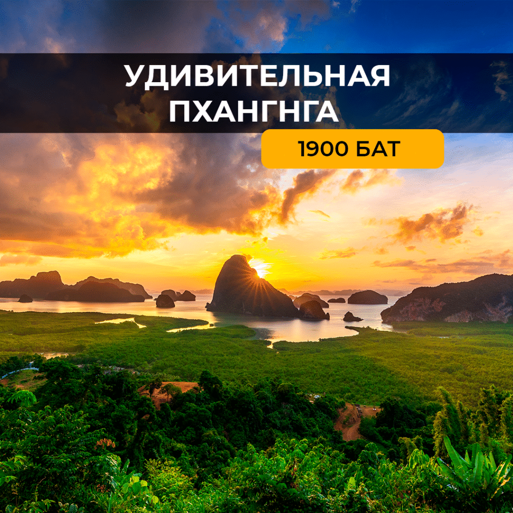 Удивительная пханга