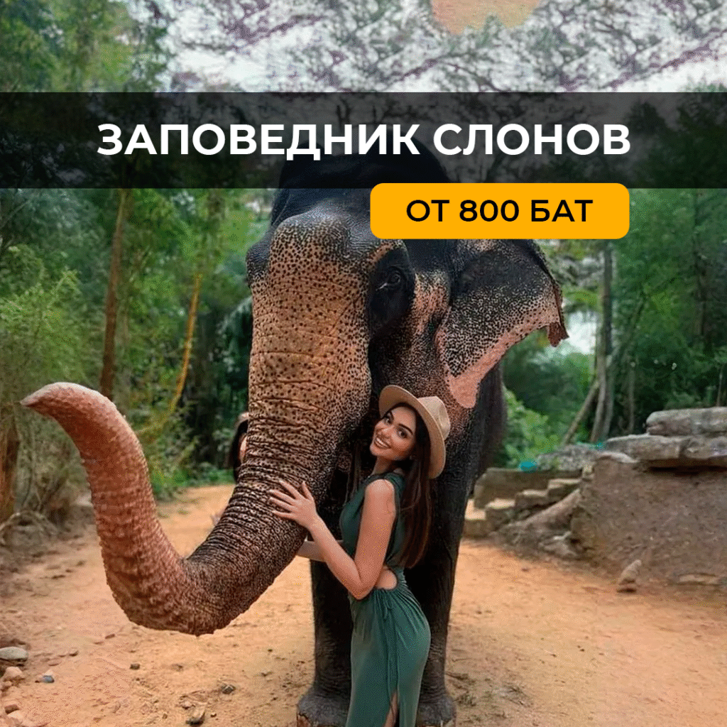 Заповедник слонов (без катания)