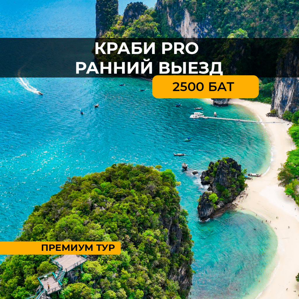 Краби PRO Ранний выезд (на катамаране)