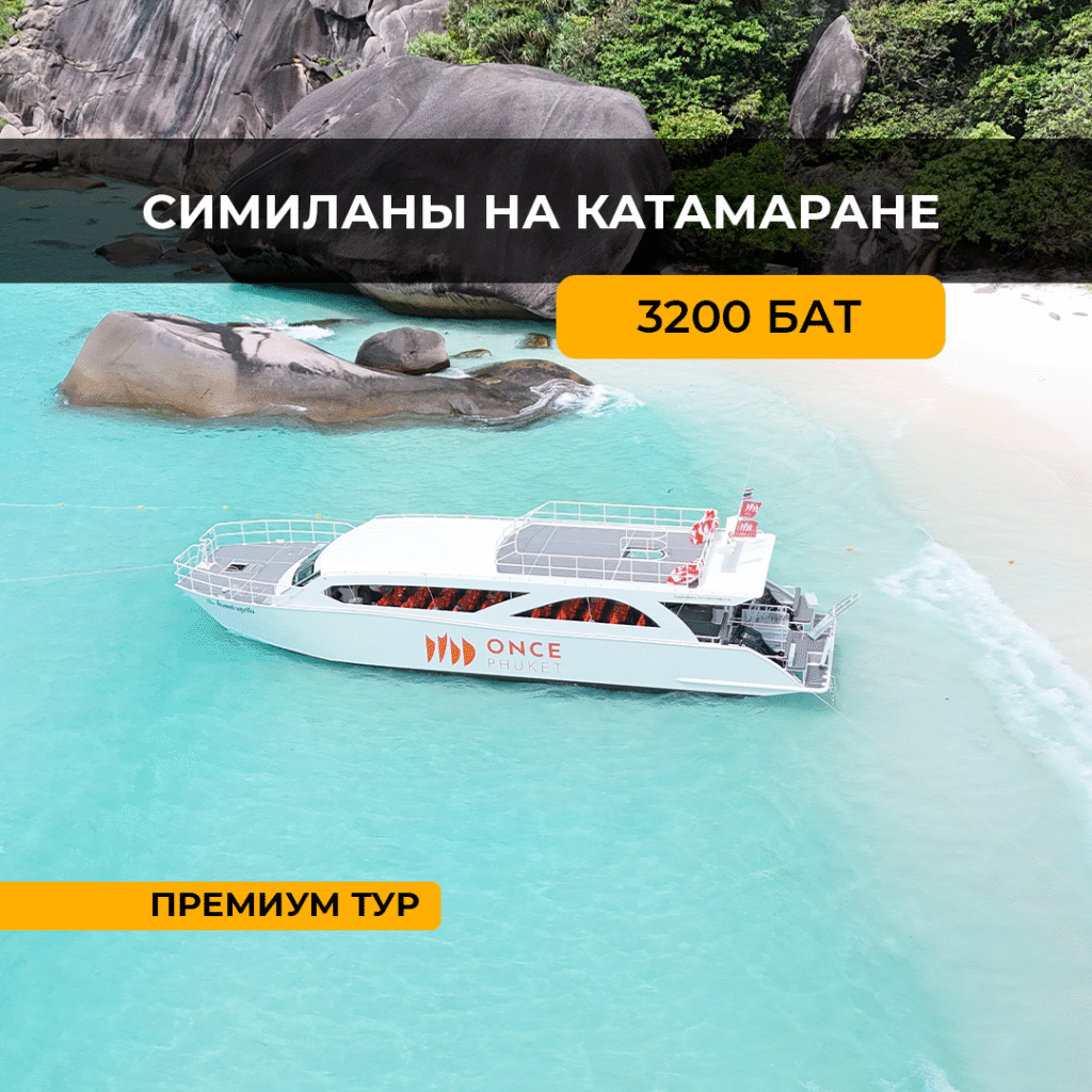 Симиланы на двухпалубном катамаране (премиум)