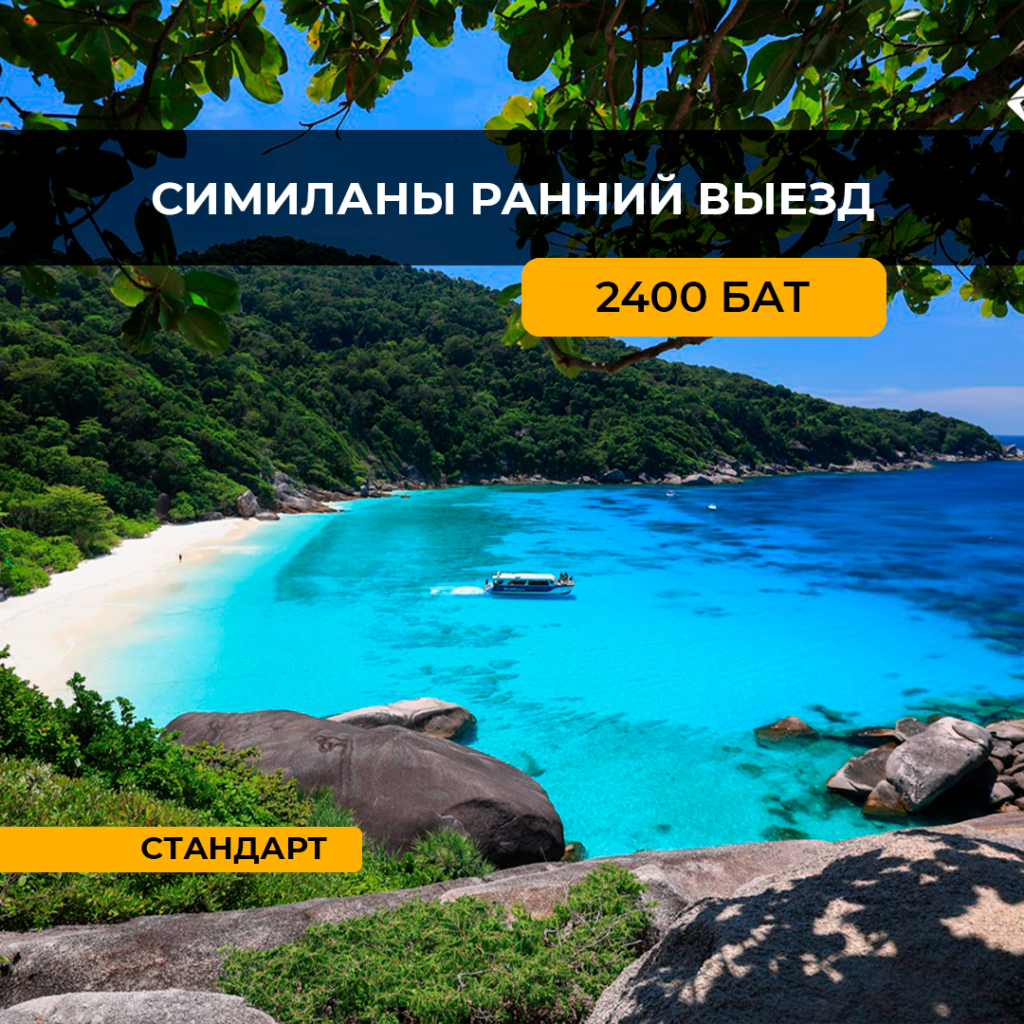Симиланы Ранний Выезд (стандарт)