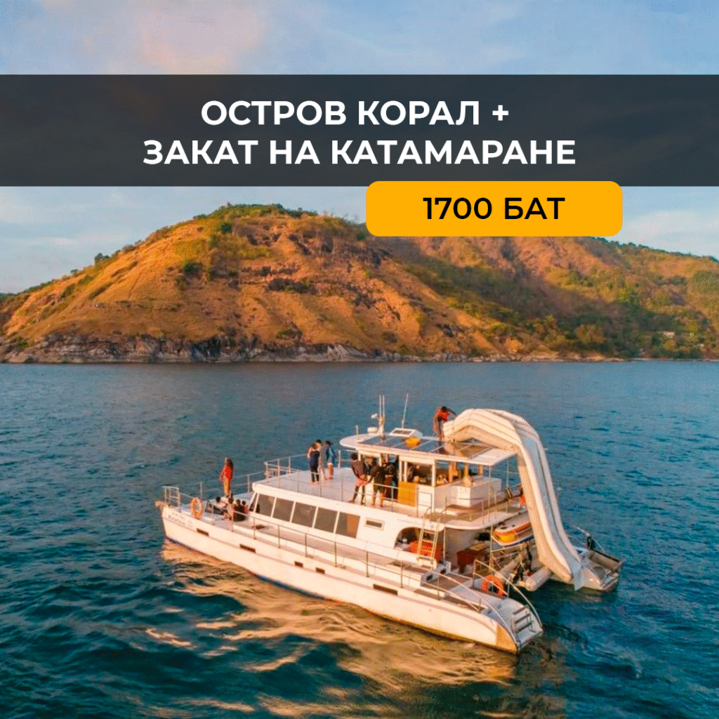 Корал + Закат на катамаране
