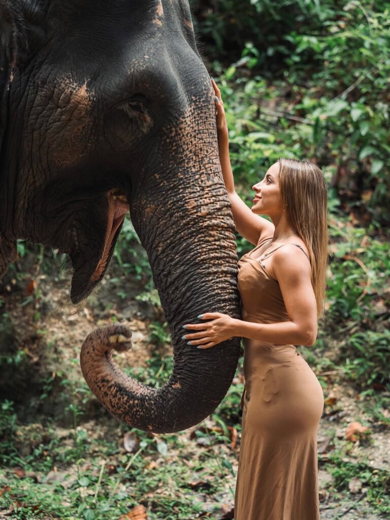 Экскурсии со слонами на Пхукете