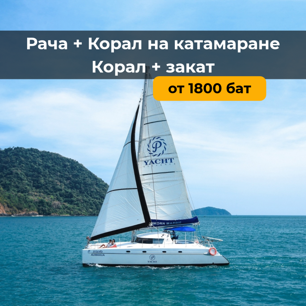 Остров Корал + Рача на катамаране + Закат