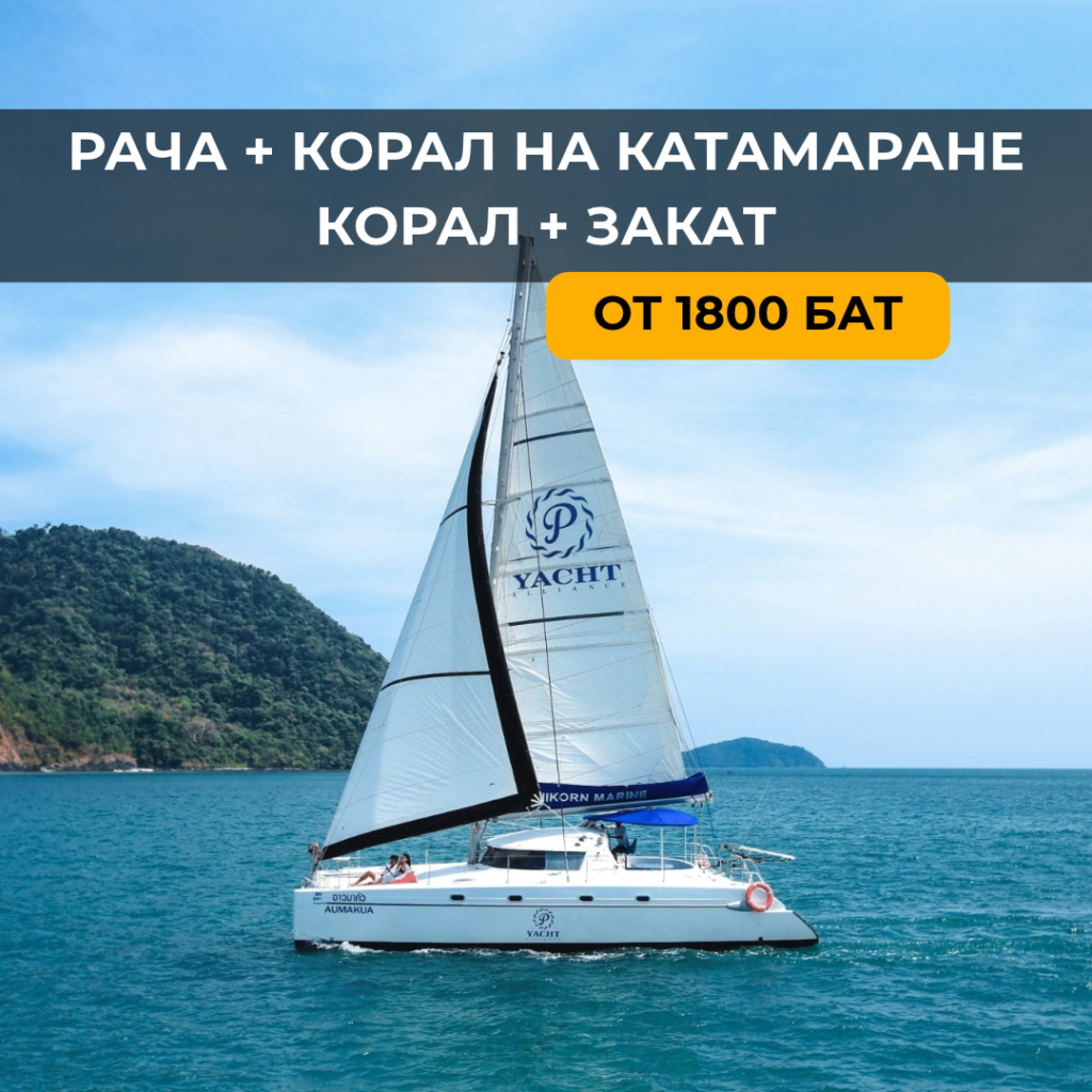 Корал + Рача на катамаране + Закат